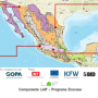 mexico_laif_05.png